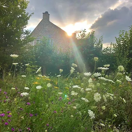 Helena's Hoeve Bed & Breakfast 3*