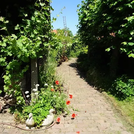 Bed & Breakfast Helena's Hoeve Buggenum