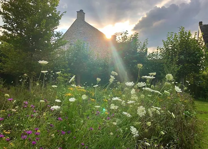 Helena's Hoeve Bed & Breakfast 3*