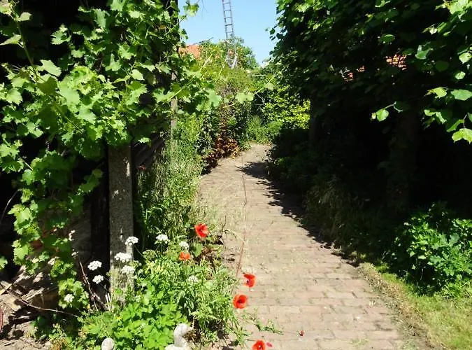 Bed & Breakfast Helena's Hoeve Buggenum